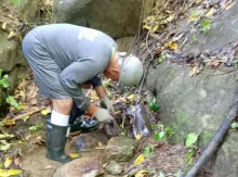 Trabajos fuga Manzanares